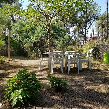 Villa Le Grand Bleu *